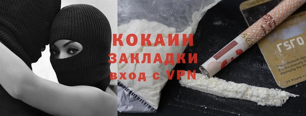прущие грибы Алапаевск